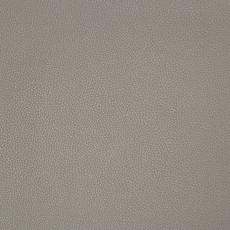 Kravet Contract Fabric SYRUS.2106 Syrus Truffle