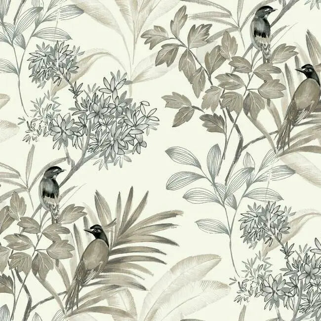 York Wallpaper TL1927 Handpainted Songbird