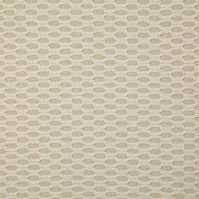 Pindler Fabric VER063-BG01 Veranda Sand