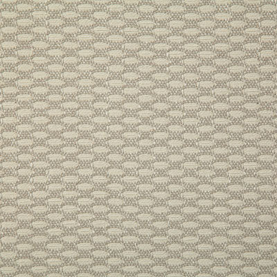 Pindler Fabric VER063-GY01 Veranda Stone