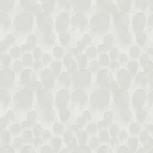 York Wallpaper Y6230101 Feathers